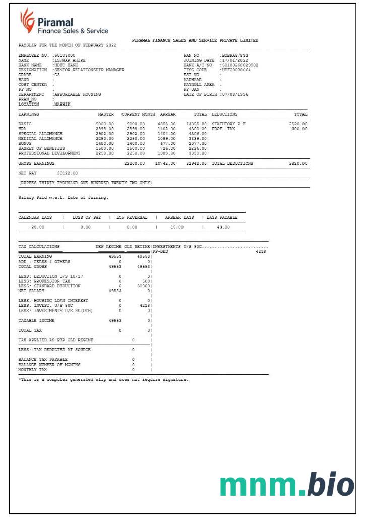 Piramial Financial Services payslip template w formatach Word i PDF